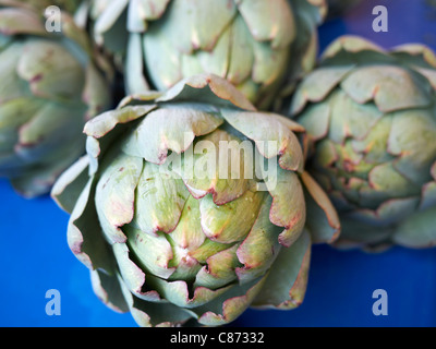 Artischocken, Beaune Farmers Market, Beaune, Cote-d ' or, Bourgogne, Frankreich Stockfoto