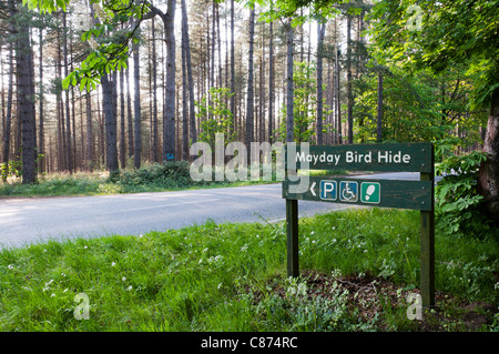 Melden Sie sich für Mayday Bird Hide in Thetford Forest.  Rechts weisenden Zeichen finden Sie unter C874WX. Stockfoto