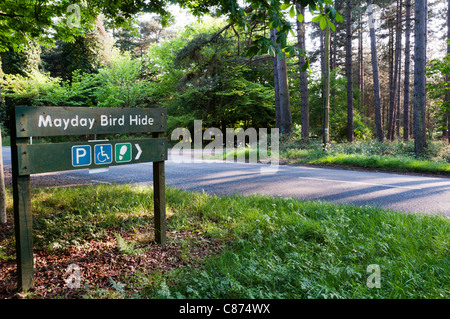 Melden Sie sich für Mayday Bird Hide in Thetford Forest.  Nach links zeigenden Zeichen finden Sie unter C874RC. Stockfoto