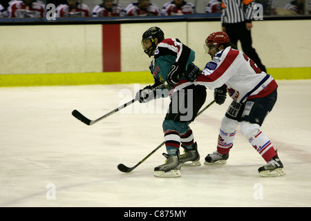 Theo Fleury spielen für die Belfast Giants in der britischen Elite Liga Playoffs gegen die Edinburgh Capitals, Schottland. Fleury erzielte den Spiel Siegtreffer in Belfast-4: 2-Niederlage von Edinburgh, gehen auf den zweiten Platz in der Playoff-Gruppe mit den drei Heimspielen in der Serie zu vervollständigen. Stockfoto