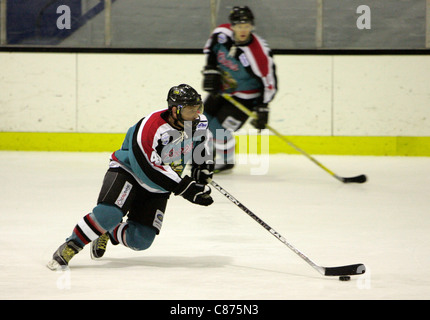 Theo Fleury spielen für die Belfast Giants in der britischen Elite Liga Playoffs gegen die Edinburgh Capitals, Schottland. Fleury erzielte den Spiel Siegtreffer in Belfast-4: 2-Niederlage von Edinburgh, gehen auf den zweiten Platz in der Playoff-Gruppe mit den drei Heimspielen in der Serie zu vervollständigen. Stockfoto