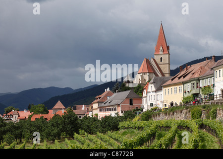 Österreich, Niederösterreich, Wachau, Weissenkirchen in der Wachau, Anzeigen der Stadt mit Weinberg im Vordergrund Stockfoto