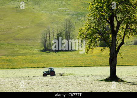 Deutschland, Bayern, Swabia, Allgäu, Oberallgäu, Oberstaufen, Blick auf Landschaft Stockfoto