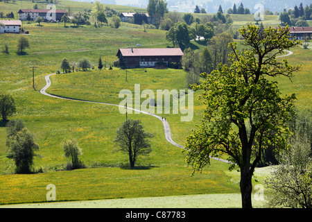 Deutschland, Bayern, Swabia, Allgäu, Oberallgäu, Oberstaufen, Blick auf Landschaft Stockfoto