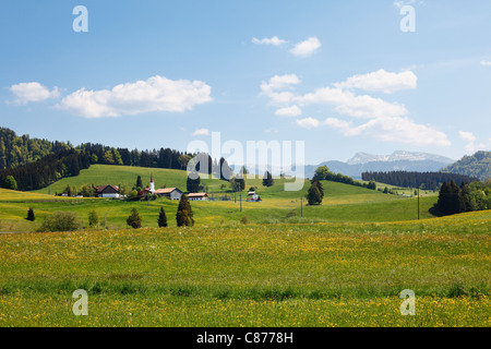 Deutschland, Bayern, Swabia, Allgäu, Oberallgäu, Oberstaufen, Zell am See, Blick auf das Dorf mit Wiese Stockfoto