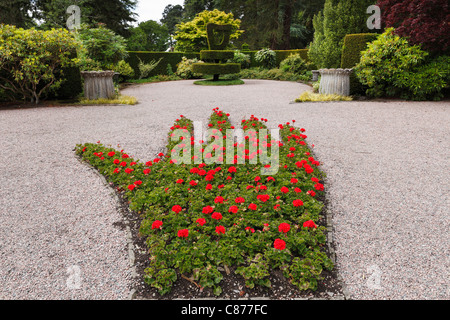 Nordirland, County Down, Newtownards, Blick auf rote Ulster Hand bestehend aus Blumenbeet am Mount Stewart Gärten Stockfoto