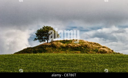 Grab Hügel in Jütland Dänemark Streiflicht Stockfoto