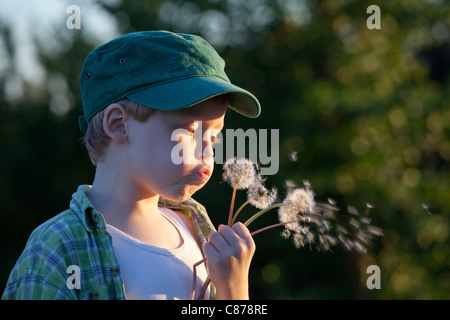 kleiner Junge bläst Löwenzahn Uhren Stockfoto