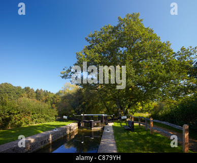 Maultierweg durch Baldwins Knopf-Sperre für den Wey & Arun-Kanal in der Nähe von Loxwood, Sussex, England. Stockfoto