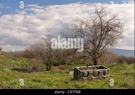 Ein Sarkophag in einem Feld in der Nähe von Aphrodisias Open-Air-Museum, Aydin, Türkei Stockfoto