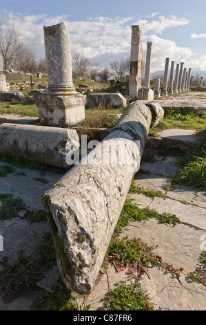 Ein Blick auf die Tetrasoon in Aphrodisias Freilichtmuseum, Aydin, Türkei Stockfoto