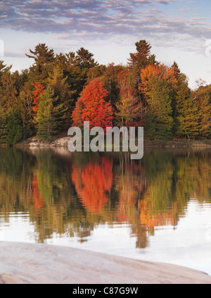 Bunter Herbst Bäume in einem See spiegelt. Schöne Herbst Natur Landschaft. Lake George, Killarney Provincial Park, Ontario Stockfoto