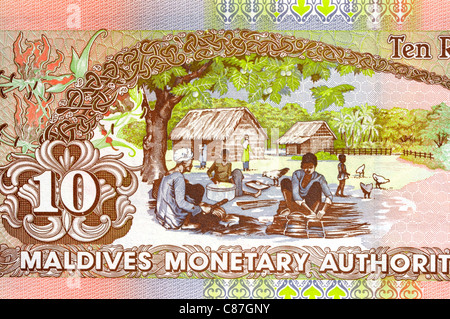 Malediven 10 10 Rufiyaa Banknote. Stockfoto