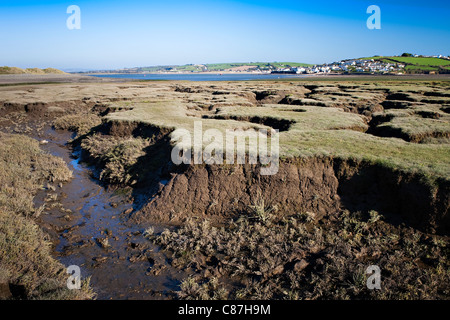 Appledore, North Devon von Northam Burrows Stockfoto