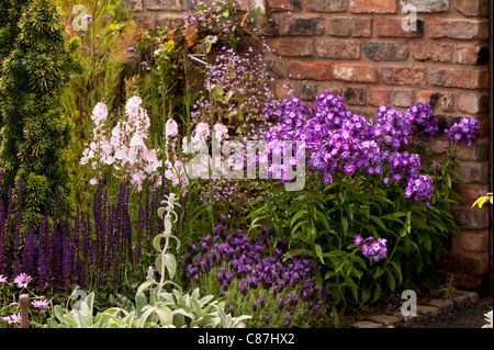 Gemischte Bauerngarten Pflanzen in "The Secret Garden" Schaugarten 2011 RHS Flower Show Tatton Park Stockfoto