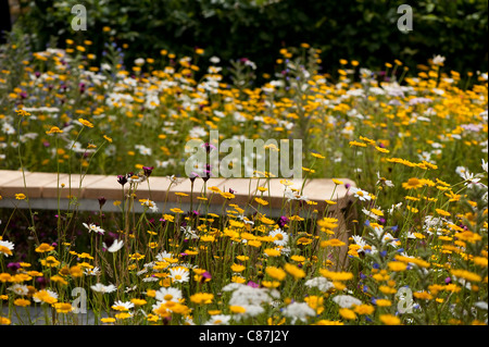 'A Stitch in Time speichert neun' anzeigen Garden, Jung-Designer des Jahres, 2011 RHS Flower Show Tatton Park Stockfoto