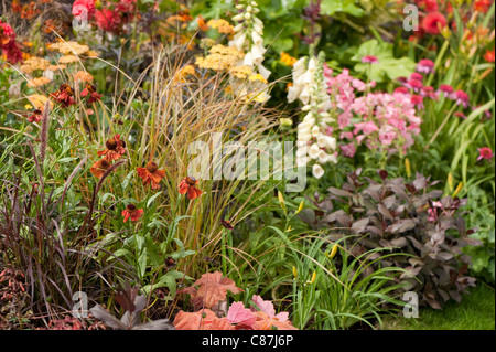 "Chocolate Orange" Schaugarten 2011 RHS Flower Show Tatton Park Stockfoto