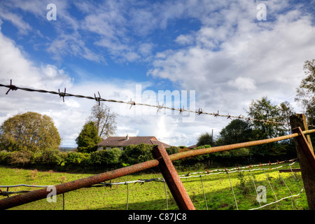 Schließen Sie Detail der Widerhaken, Stacheldrahtzaun über einen alten rostigen Tor vor einem Feld in Gartmore, Schottland Trossachs Stockfoto