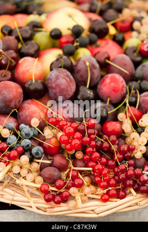 Gemischte Trug Früchte, Teilnehmer im Wettbewerb 2011 RHS Flower Show Tatton Park Stockfoto