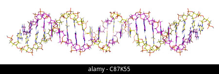 Molekül der Desoxyribonukleinsäure Stockfoto