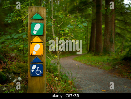 Wanderweg Markierung Wegweiser Strecke durch einen Rollstuhl zugängliche Wälder, Coed y Brenin Wald, Ortszentrum, Snowdonia, North Wales UK Stockfoto