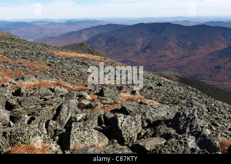 Herbstlaub in der Presidential Range von White Mountain National Forest von den Pisten am Mt. Washington (New Hampshire) Stockfoto