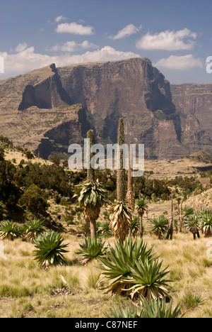 Elk200-2557v Äthiopien, Simien Mountains Nationalpark Böschung Landschaft Chenek Stockfoto