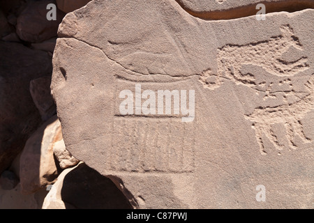 Felszeichnungen zeigen frühe dynastischen Serekhs in der östlichen Wüste von Ägypten, Nord-Nord-Afrika Stockfoto