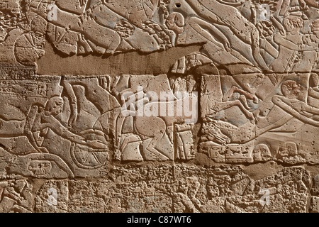 Relief Arbeiten zeigen Feldzüge von Ramses II in das Ramesseum, Luxor, Ägypten Stockfoto