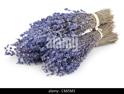 Reihe von trockenen Lavendel isoliert auf weißem Hintergrund Stockfoto