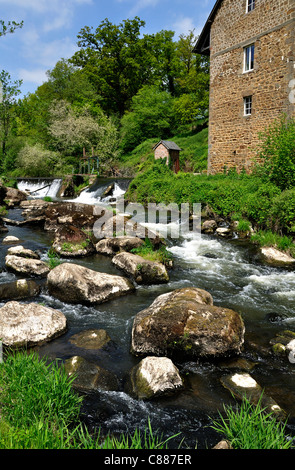 Fluss Colmont (Sentier des Moulins, le Moulin Neuf, Brecé, Mayenne, Frankreich). Stockfoto