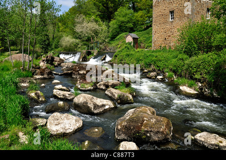 Fluss Colmont (Sentier des Moulins, le Moulin Neuf, Brecé, Mayenne, Frankreich). Stockfoto