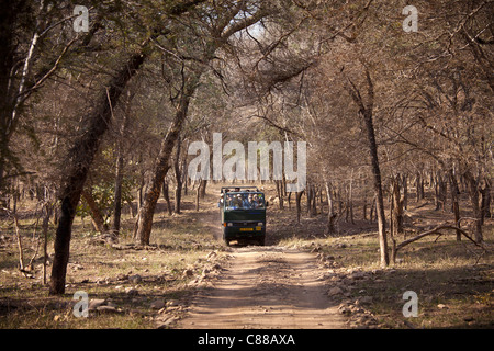 Reisegruppe des Öko-Touristen in Ranthambhore National Park, Rajasthan, Nordindien Stockfoto