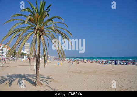 Peníscola, Costa del Azahar, Provinz Castellón, Valencia, Spanien Stockfoto