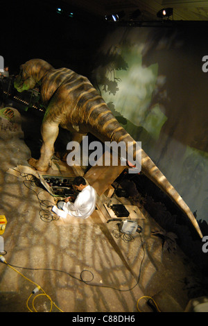 Museum Arbeiter Reparaturen der beweglichen und brüllend lebensgroßes Modell eines Tyrannosaurus Rex im Natural History Museum in London, Vereinigtes Königreich. Stockfoto