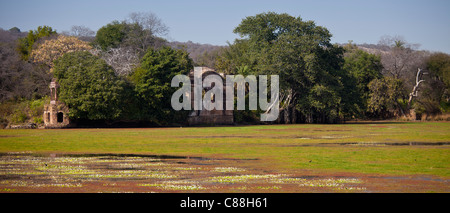 Rajbagh See und Maharadschas von Jaipur Jagdschloss in Ranthambhore National Park, Rajasthan, Nordindien Stockfoto