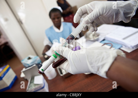 Eine Krankenschwester zieht Blut von einem HIV positiven Patienten in einer Klinik von Catholic Relief Services in Kitwe, Sambia unterstützt. Stockfoto