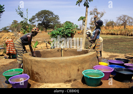 Gambia. Frauen ziehen Wasser aus einem Brunnen für die Bewässerung Pflanzen im Gemüsegarten; bunte Schüsseln. Stockfoto