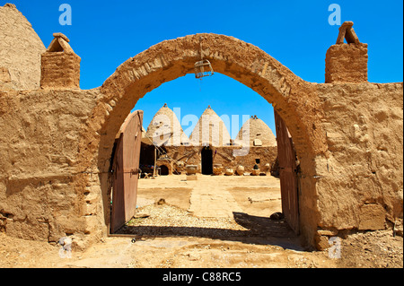 Harran Türkei Bienenstock beherbergt adobe Stockfoto