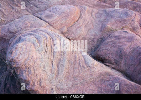 Gemeinsame, Northumberland Küste, England. Aus rosa Sandstein Felsformationen. Stockfoto