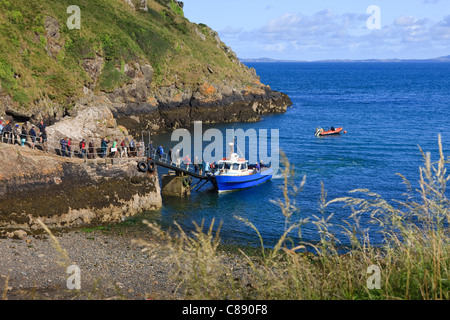 Touristenboot für Skomer St Martins Haven Nr Marloes Pembrokeshire Wales verlassen Stockfoto