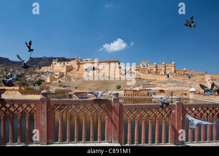 Das Amber Fort bauten ein Rajput Fort aus dem 16. Jahrhundert und Jaigarh Fort hinter in Jaipur, Rajasthan, Nordindien Stockfoto