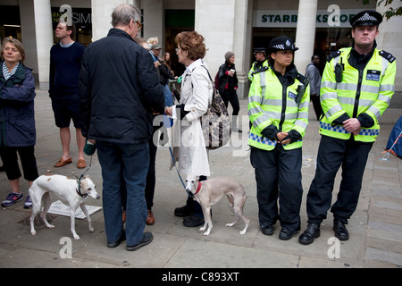 Zwei italienische Windspiele an den Protest und zwei Polizisten. Besetzen Sie London Protest in St. Pauls, 16. Oktober 2011. Protest aus den USA mit diesen Demonstrationen in London und anderen Städten weltweit verbreitet. Das "Besetzen" Bewegung breitet sich über social Media. Stockfoto