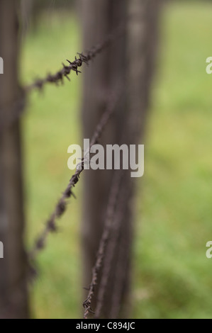 Elektrifizierte Stacheldrahtzaun rund um Majdanek Konzentrations- und Vernichtungslager Lager während des zweiten Weltkriegs. Stockfoto