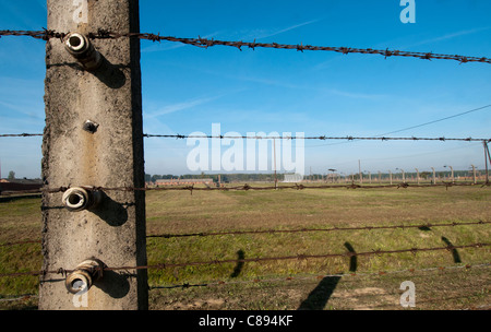 Elektrifizierte Stacheldrahtzaun umgeben von Auschwitz II - Birkenau Auschwitz, Oswiecim, Polen. Stockfoto