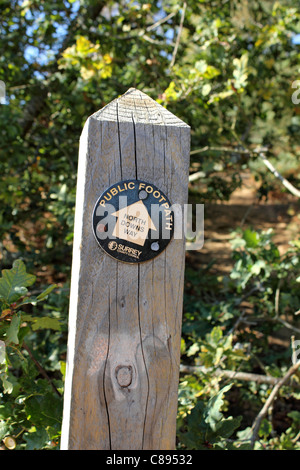 Öffentlichen Fußweg auf der North Downs Way-Schild am St Martha Hill. Guildford Surrey England UK. Stockfoto