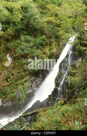 Barke fällt, Teufels-Brücke, Ceredigion, Wales, UK Stockfoto