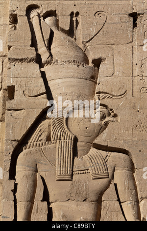 Linderung von Horus am Pylon am Tempel der Isis in Philae, Aglika Island, Assuan Oberägypten Stockfoto