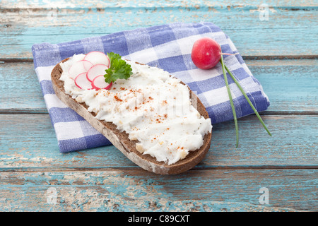 Nahaufnahme der Brotscheibe mit Ausbreitung, Zwiebel, Radieschen und Paprika auf aufgegebenes Serviette Stockfoto