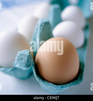 Box mit fünf weißen Eiern und eine braune Ei Stockfoto